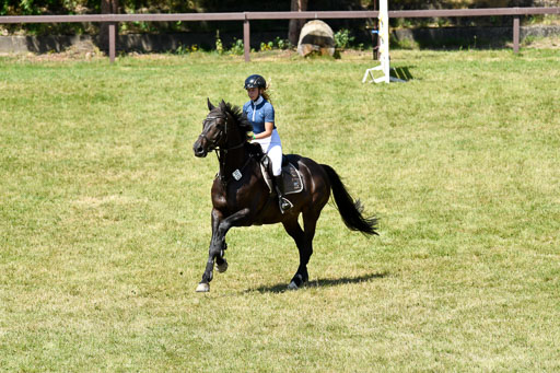 Reitturnier Harburger RV  16.7.2021 | 17072021 Springen L 2 Phasen 1 _180 