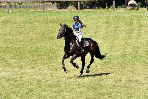 Reitturnier Harburger RV  16.7.2021 | 17072021 Springen L 2 Phasen 1 _181 