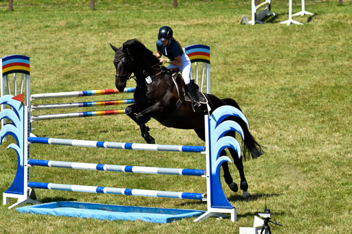 Reitturnier Harburger RV  16.7.2021 | 17072021 Springen L 2 Phasen 1 _184 