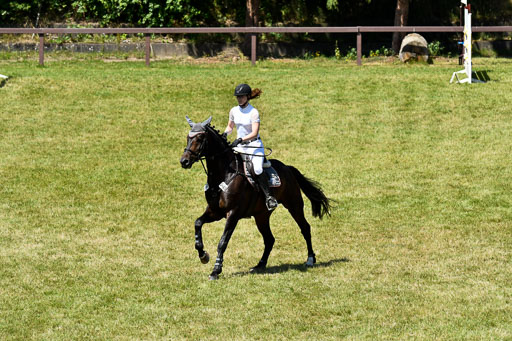 Reitturnier Harburger RV  16.7.2021 | 17072021 Springen L 2 Phasen 1 _190 