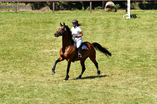 Reitturnier Harburger RV  16.7.2021 | 17072021 Springen L 2 Phasen 1 _207 