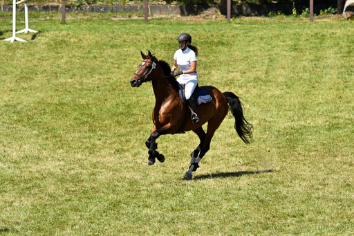 Reitturnier Harburger RV  16.7.2021 | 17072021 Springen L 2 Phasen 1 _208 