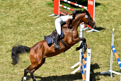 Reitturnier Harburger RV  16.7.2021 | 17072021 Springen L 2 Phasen 1 _211 