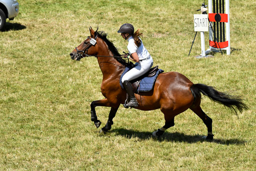 Reitturnier Harburger RV  16.7.2021 | 17072021 Springen L 2 Phasen 1 _214 