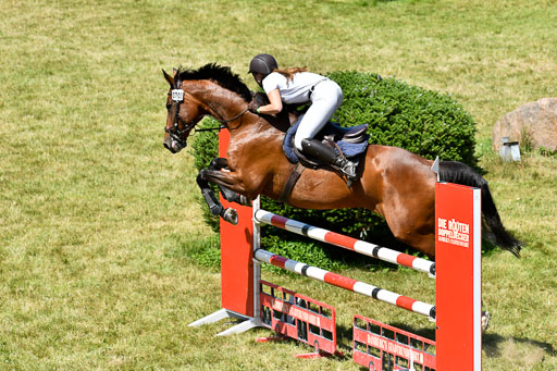 Reitturnier Harburger RV  16.7.2021 | 17072021 Springen L 2 Phasen 1 _216 