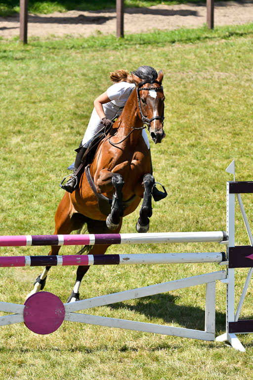 Reitturnier Harburger RV  16.7.2021 | 17072021 Springen L 2 Phasen 1 _221 