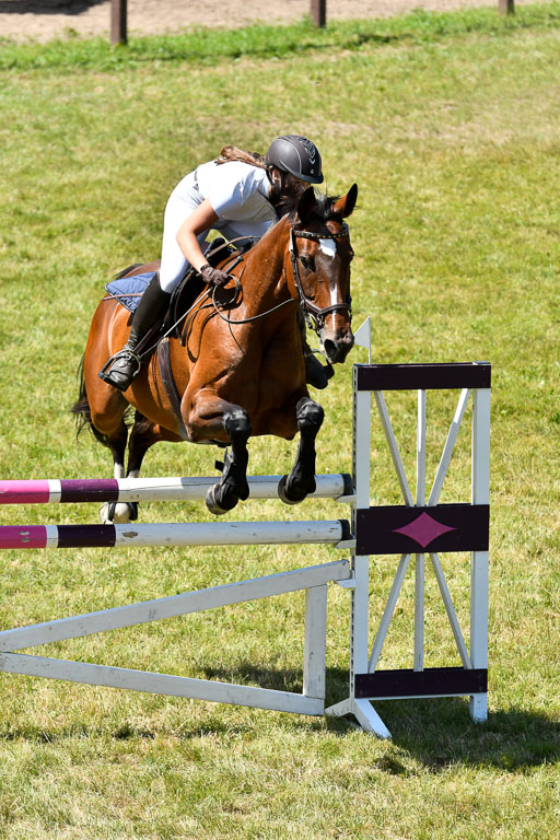 Reitturnier Harburger RV  16.7.2021 | 17072021 Springen L 2 Phasen 1 _223 