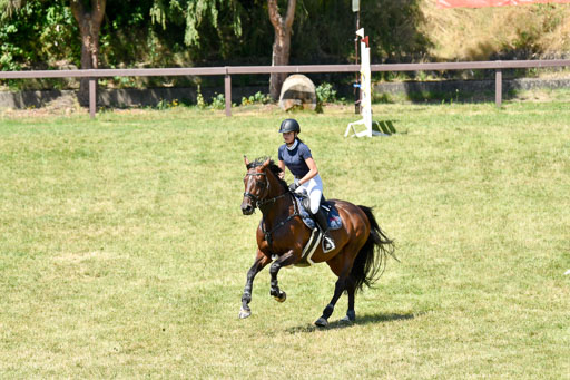 Reitturnier Harburger RV  16.7.2021 | 17072021 Springen L 2 Phasen 1 _235 