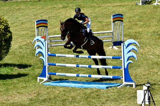 Reitturnier Harburger RV  16.7.2021 | 17072021 Springen L 2 Phasen 1 _239 