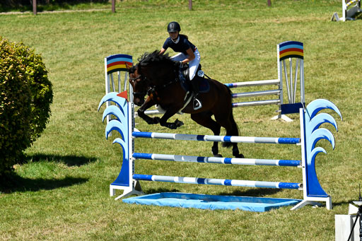 Reitturnier Harburger RV  16.7.2021 | 17072021 Springen L 2 Phasen 1 _240 