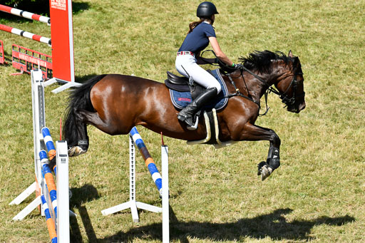 Reitturnier Harburger RV  16.7.2021 | 17072021 Springen L 2 Phasen 1 _243 