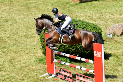 Reitturnier Harburger RV  16.7.2021 | 17072021 Springen L 2 Phasen 1 _247 