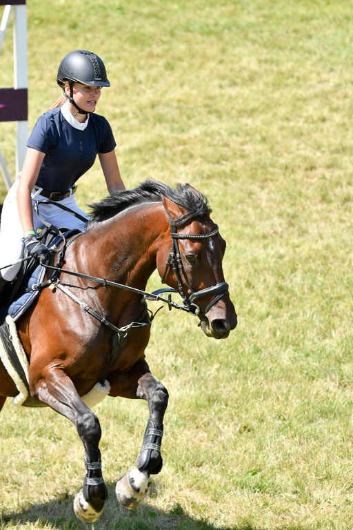 Reitturnier Harburger RV  16.7.2021 | 17072021 Springen L 2 Phasen 1 _256 