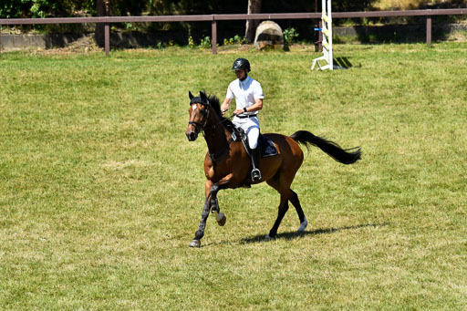 Reitturnier Harburger RV  16.7.2021 | 17072021 Springen L 2 Phasen 1 _269 