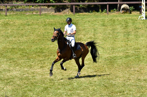 Reitturnier Harburger RV  16.7.2021 | 17072021 Springen L 2 Phasen 1 _270 