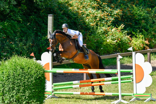 Reitturnier Harburger RV  16.7.2021 | 17072021 Springen L 2 Phasen 1 _281 