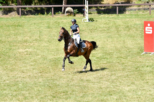 Reitturnier Harburger RV  16.7.2021 | 17072021 Springen L 2 Phasen 1 _292 