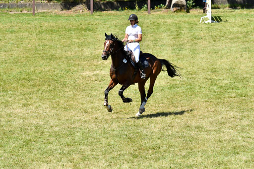 Reitturnier Harburger RV  16.7.2021 | 17072021 Springen L 2 Phasen 1 _301 