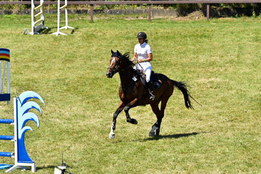 Reitturnier Harburger RV  16.7.2021 | 17072021 Springen L 2 Phasen 1 _304 