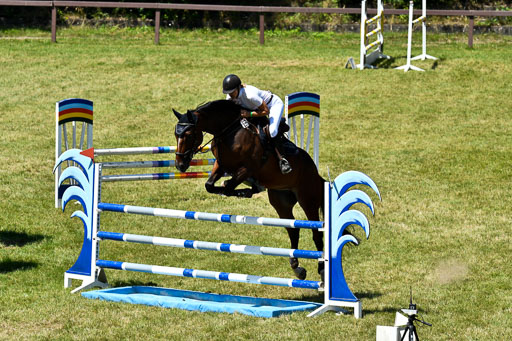 Reitturnier Harburger RV  16.7.2021 | 17072021 Springen L 2 Phasen 1 _305 