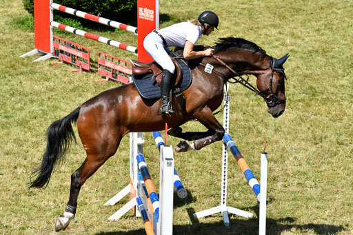 Reitturnier Harburger RV  16.7.2021 | 17072021 Springen L 2 Phasen 1 _307 