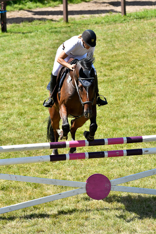 Reitturnier Harburger RV  16.7.2021 | 17072021 Springen L 2 Phasen 1 _313 