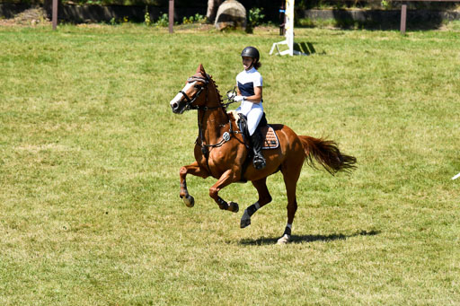 Reitturnier Harburger RV  16.7.2021 | 17072021 Springen L 2 Phasen 1 _318 