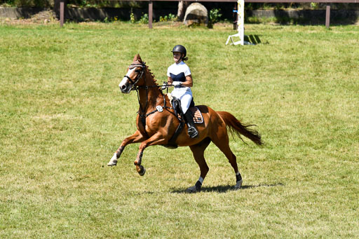 Reitturnier Harburger RV  16.7.2021 | 17072021 Springen L 2 Phasen 1 _319 