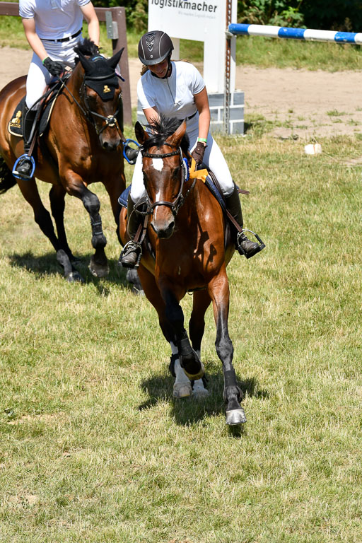 Reitturnier Harburger RV  16.7.2021 | 17072021 Springen L 2 Phasen 1 _335 