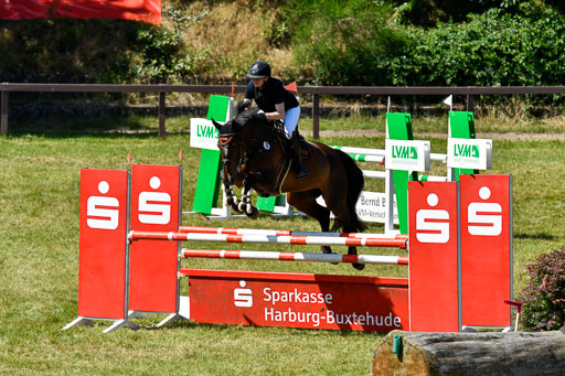 Springen L 2 Phasen 2 Springen L 2 Phasen 2