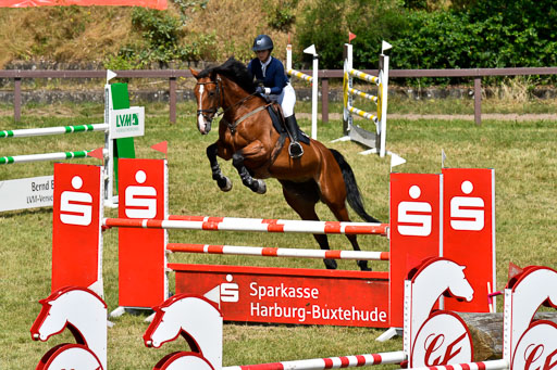 Reitturnier Harburger RV  18.7.2021 | 18072021 M Youngster + U25  1 _16 