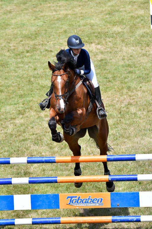 Reitturnier Harburger RV  18.7.2021 | 18072021 M Youngster + U25  1 _20 