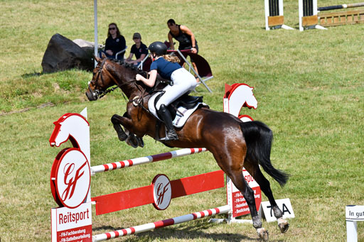 Reitturnier Harburger RV  18.7.2021 | 18072021 M Youngster + U25  1 _34 