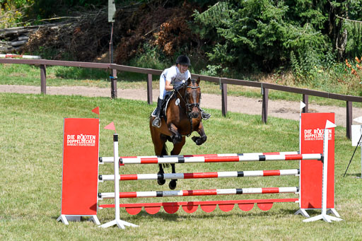 Springen M Youngster U25 1 Springen M Youngster U25 1