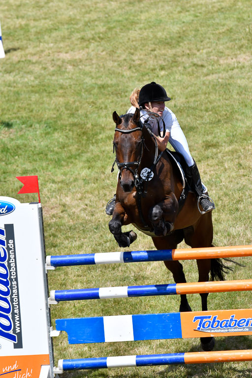 Reitturnier Harburger RV  18.7.2021 | 18072021 M Youngster + U25  1 _40 