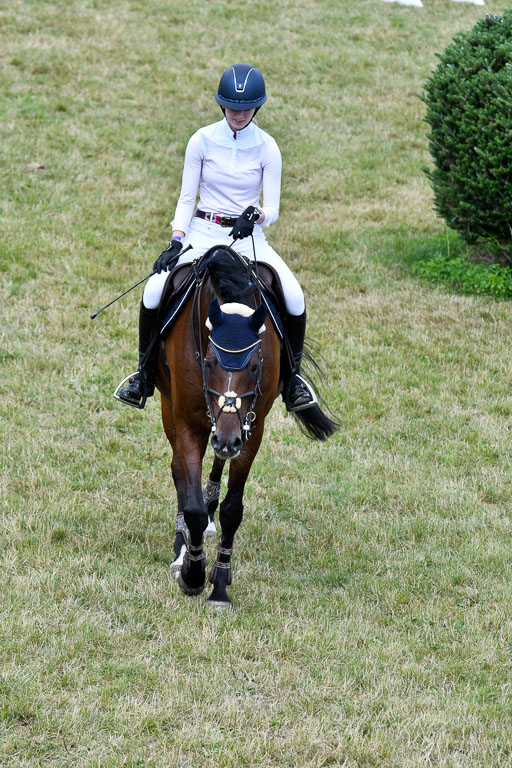 Springen M Youngster U25 1 Springen M Youngster U25 1