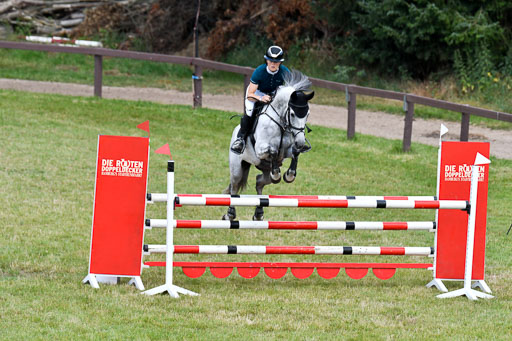 Springen M Youngster U25 1 Springen M Youngster U25 1