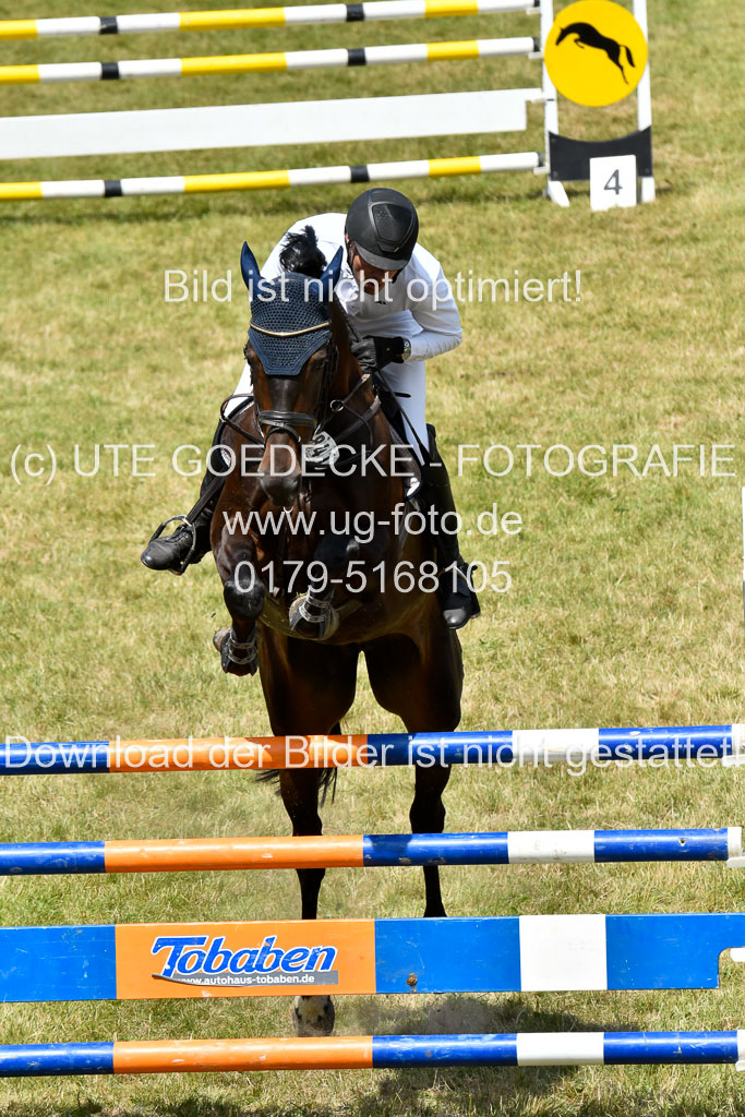 Reitturnier Harburger RV 16.7.2021 | 18072021 M Youngster + U25 2 _02