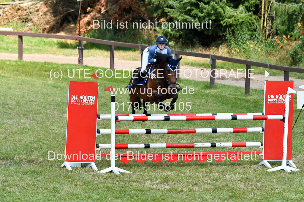 Reitturnier Harburger RV 16.7.2021 | 18072021 M Youngster + U25 2 _17