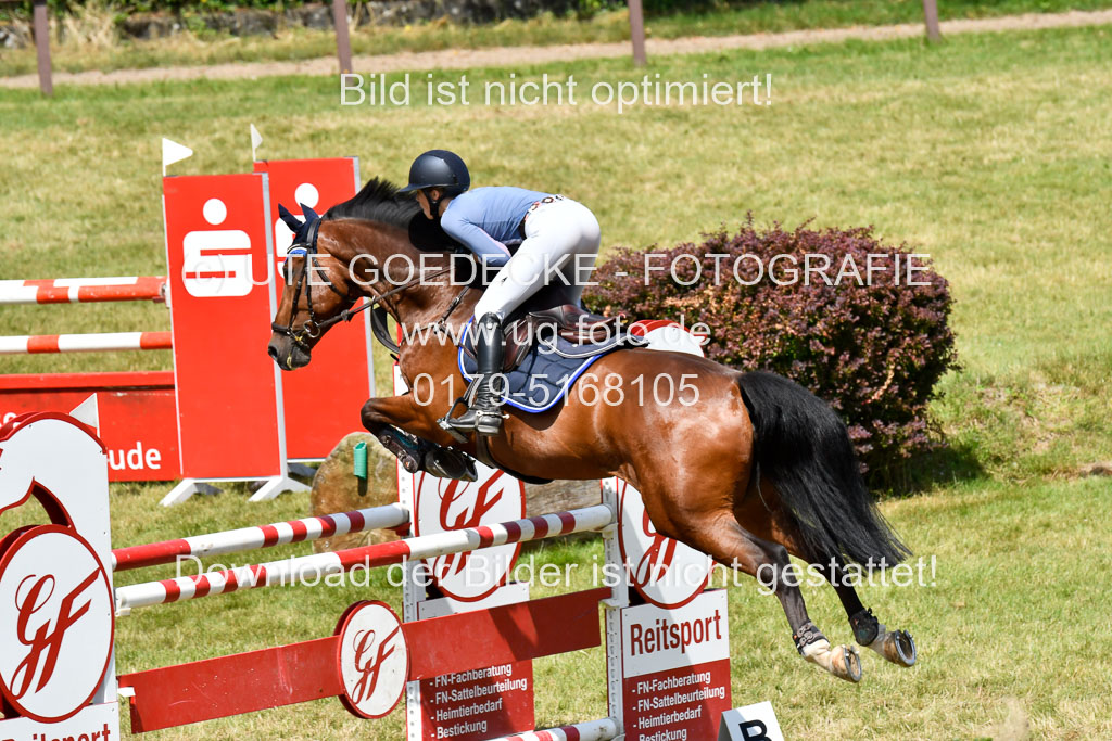 Reitturnier Harburger RV  16.7.2021 | 18072021 M Youngster + U25  2 _24 