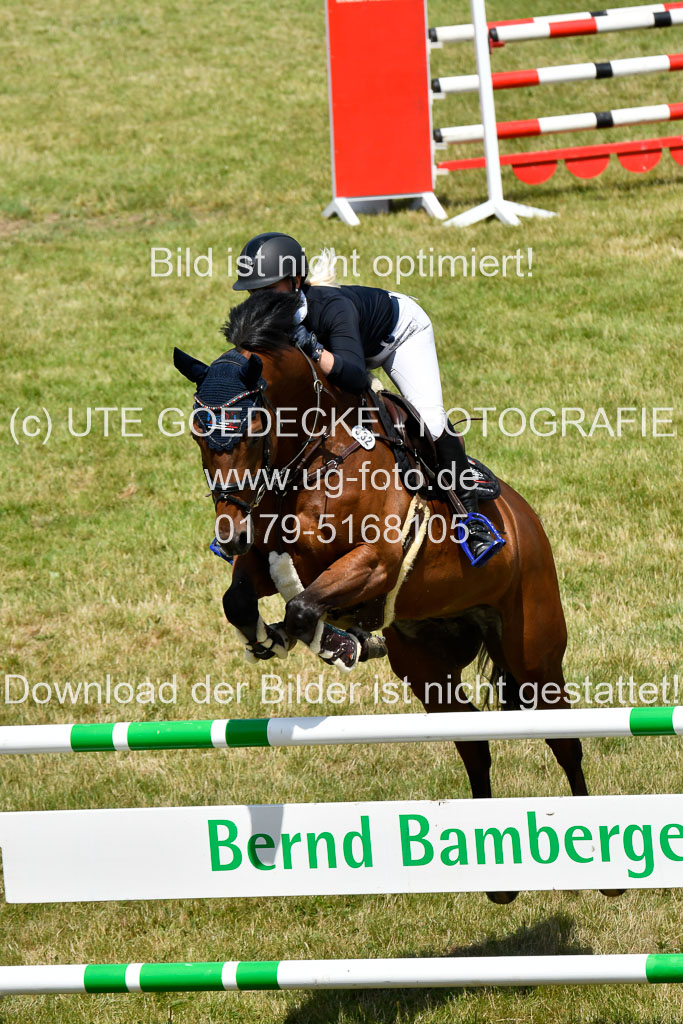 Reitturnier Harburger RV 16.7.2021 | 18072021 M Youngster + U25 2 _26