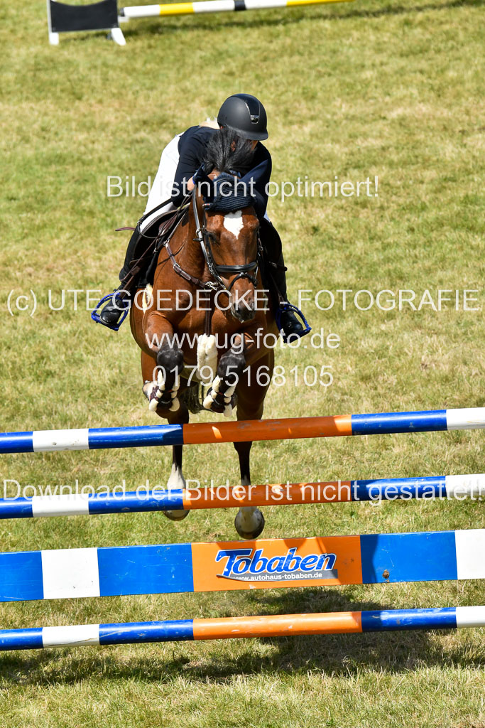 Reitturnier Harburger RV  16.7.2021 | 18072021 M Youngster + U25  2 _29 