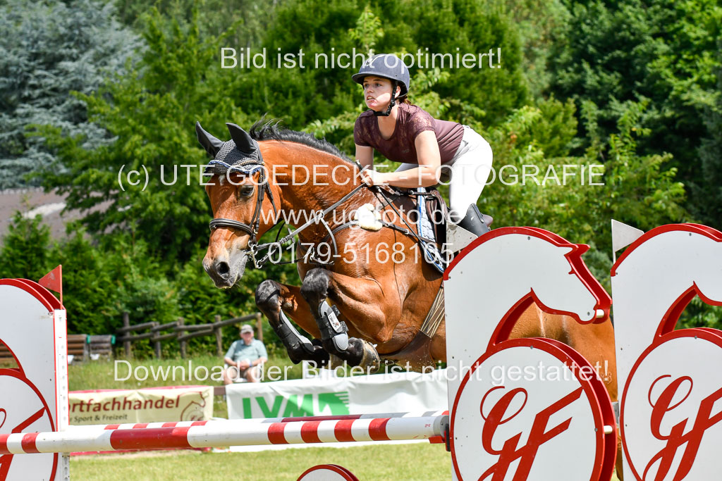 Reitturnier Harburger RV  16.7.2021 | 18072021 M Youngster + U25  2 _37 