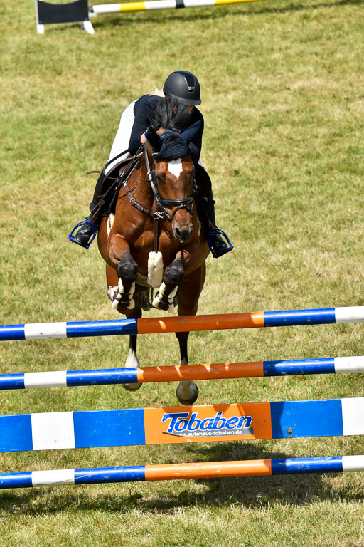 Reitturnier Harburger RV  16.7.2021 | 18072021 M Youngster + U25  2 _29 