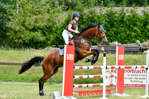 Reitturnier Harburger RV  16.7.2021 | 18072021 M Youngster + U25  2 _31 