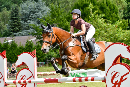 Reitturnier Harburger RV  16.7.2021 | 18072021 M Youngster + U25  2 _38 