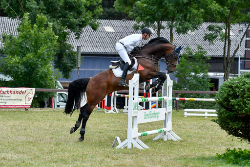 Reitturnier Harburger RV  16.7.2021 | 18072021 M Youngster + U25  2 _40 