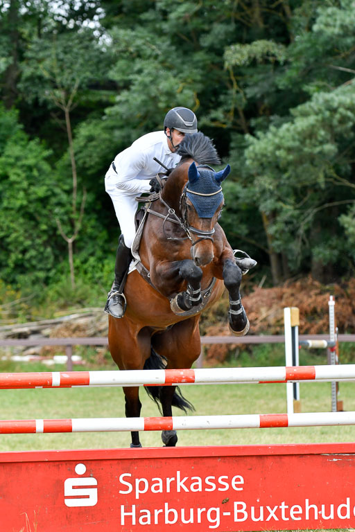 Reitturnier Harburger RV  16.7.2021 | 18072021 M Youngster + U25  2 _42 