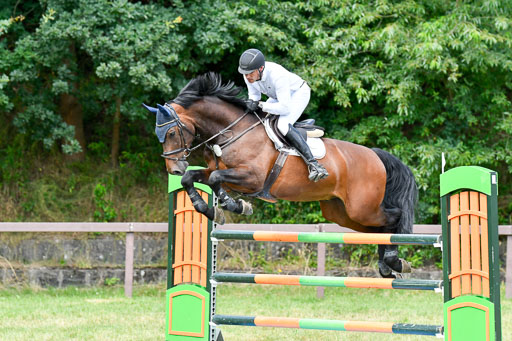 Reitturnier Harburger RV  16.7.2021 | 18072021 M Youngster + U25  2 _47 