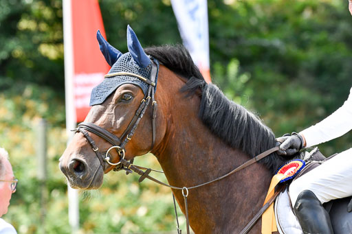 Reitturnier Harburger RV  16.7.2021 | 18072021 M Youngster + U25  2 _50 